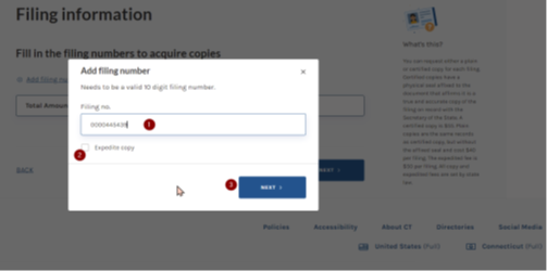 Filing information screen.